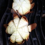 Grillade lökblommor